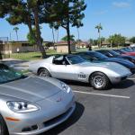 Picnic_0005 (July 16, 2011)